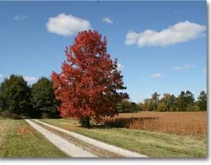 Crow Timber Frame Barn driveway