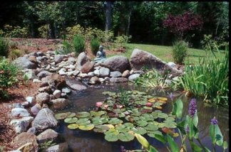 grounds at The Peaceful Dragon