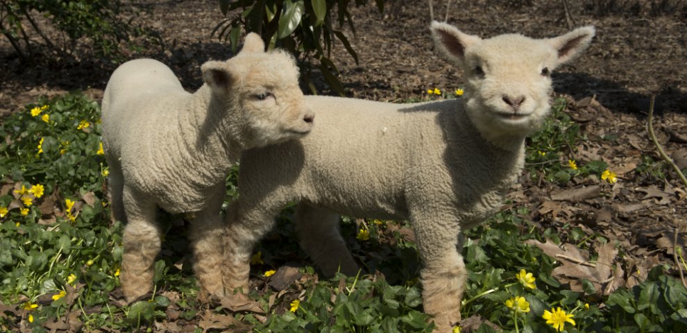 Free Art classes Brooklyn