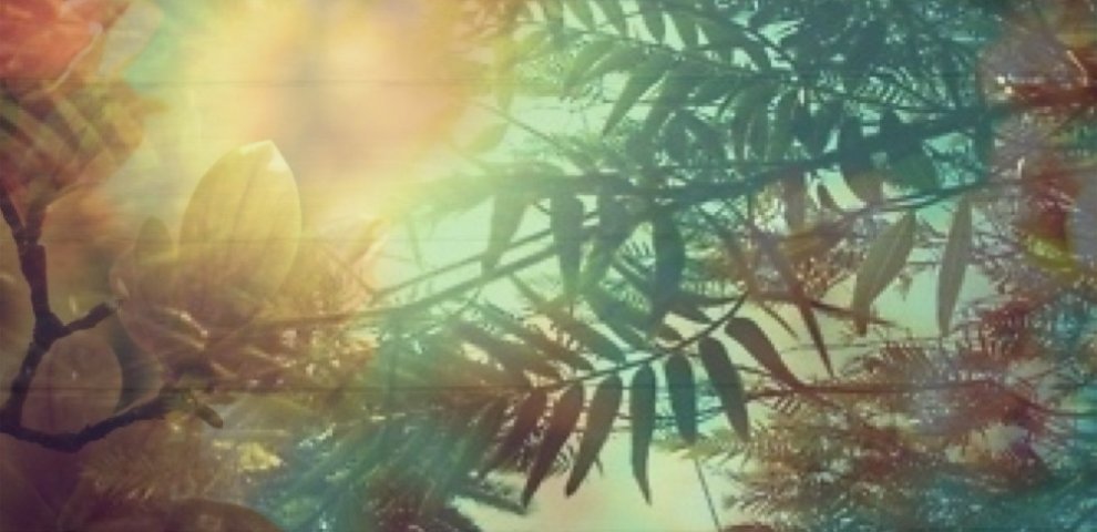 Free Art classes Singapore