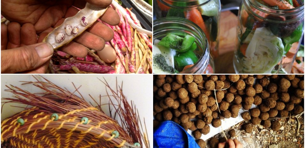 Free Arts workshops Sydney