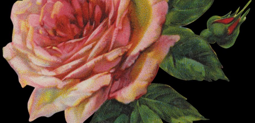 Workshop tools clip Art free