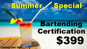 Summer Bartending Special 399.jpg