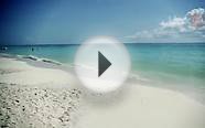Free Diving Playa del Carmen (Freediving Mexico)
