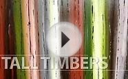 Free Online Abstract Art Lesson Learn how to paint large