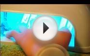 Nail Trainer Hand-Gel Nail Courses.wmv
