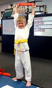 Vision Martial Arts Center Kids Karate Photo 4